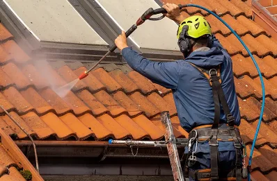 Démoussage et hydrofuge de toiture à Verneusses